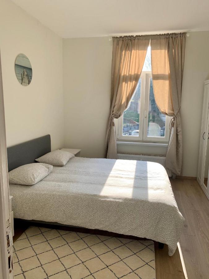 Appartement Charming Europarlament Resedence